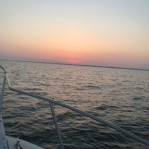 Meet your Posher, Cheyenne